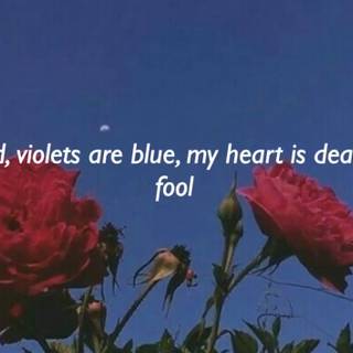 Roses Are Red Violets Are Blue wallpaper