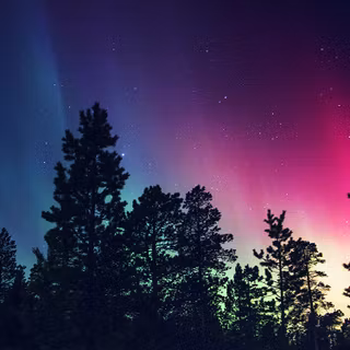 Snow winter night wallpaper