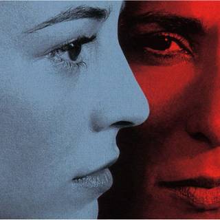 Pedro Almodovar wallpaper