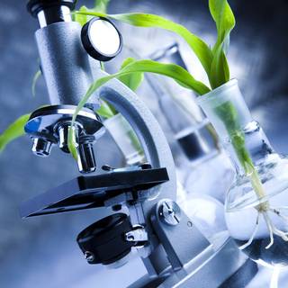 Medical lab wallpaper
