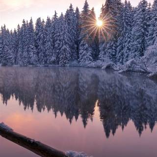 Winter iPhone XR wallpaper