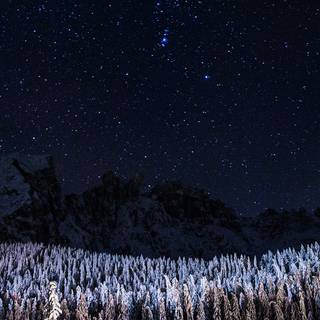 Stars winter wallpaper