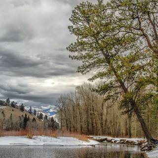 Winter Montana wallpaper