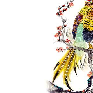 Bird drawing wallpaper