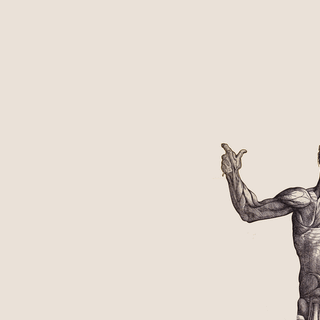 Human physiology wallpaper