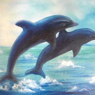 Cartoon dolphin wallpaper