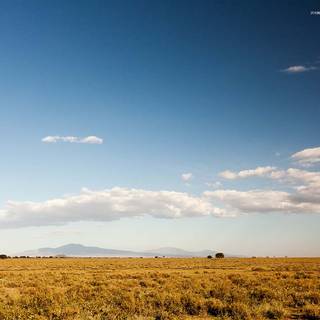 Great Plains wallpaper