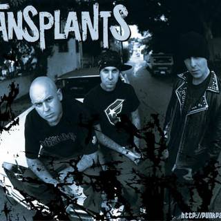 Transplants wallpaper