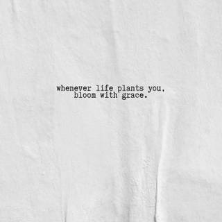 Life lessons wallpaper