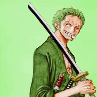 Zoro and Lucky fighting wallpaper