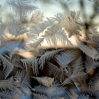 Winter pattern desktop wallpaper