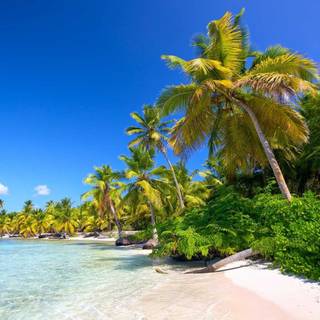 Beach landscape wallpaper