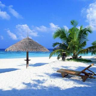 Mexico beach wallpaper