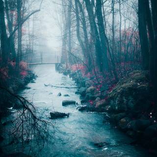 Winter mist desktop wallpaper