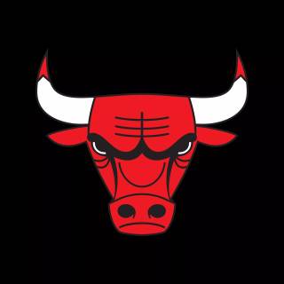 Chicago Bulls wallpaper