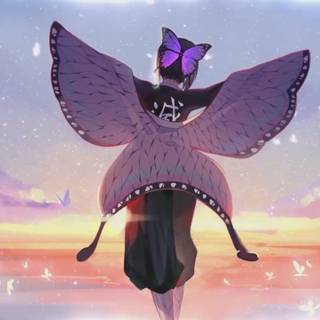 Shinobu PC wallpaper