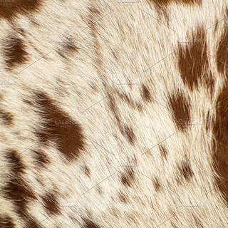 Cowhide wallpaper