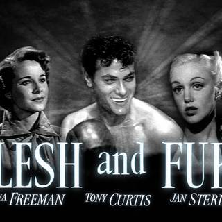 Tony Curtis wallpaper