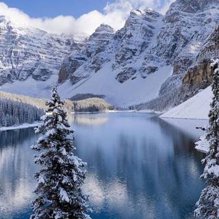 Nature winter Android wallpaper