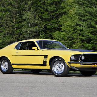 Ford Mustang Boss 302 wallpaper
