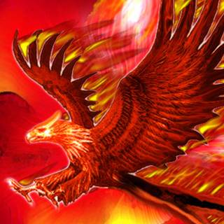 Cool birds wallpaper