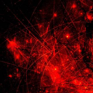 Red splash wallpaper