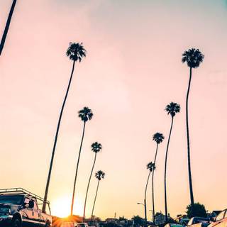 California Palm Springs iPhone wallpaper