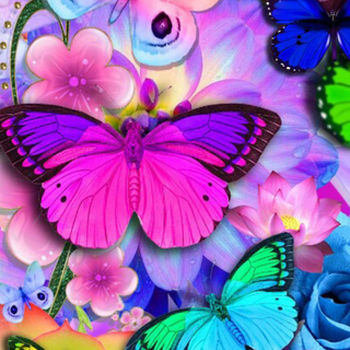 Butterfly art wallpaper