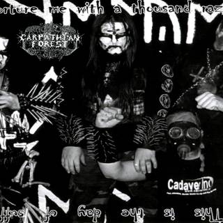 Carpathian Forest wallpaper