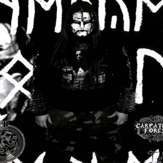 Carpathian Forest wallpaper