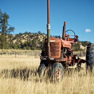 Old tractors wallpaper