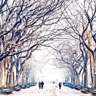 United States parks winter wallpaper