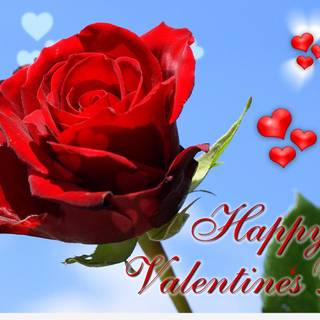 Valentine flower quotes wallpaper