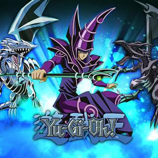 Dark Paladin wallpaper