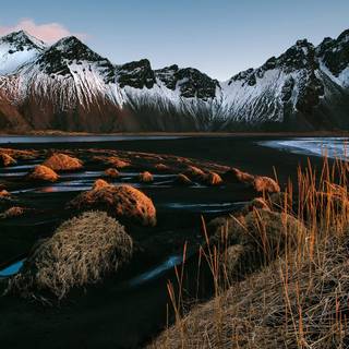 Winter grassland wallpaper