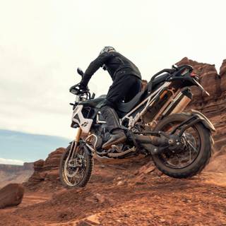 Rally 2022 wallpaper