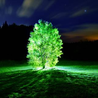 4k light up wallpaper