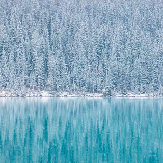 Winter lake trees wallpaper
