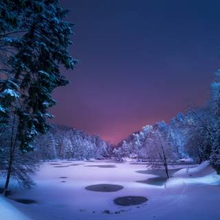 Winter lake trees wallpaper