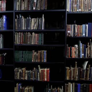 A bunch of books wallpaper