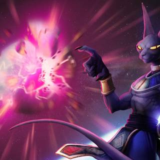 Beerus sama wallpaper