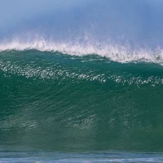 Filipe Toledo wallpaper