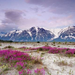 Spring season mountain wallpaper