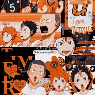 Haikyuu PFP wallpaper