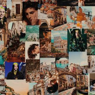 Timothée Chalamet collage wallpaper