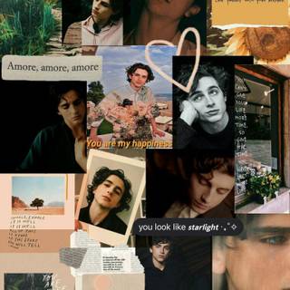 Timothée Chalamet collage wallpaper