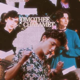 Timothée Chalamet collage wallpaper