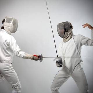 Fencing desktop wallpaper