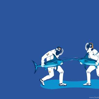 Fencing desktop wallpaper