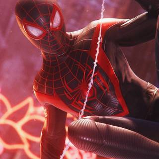 Spider-Man iPhone 11 wallpaper